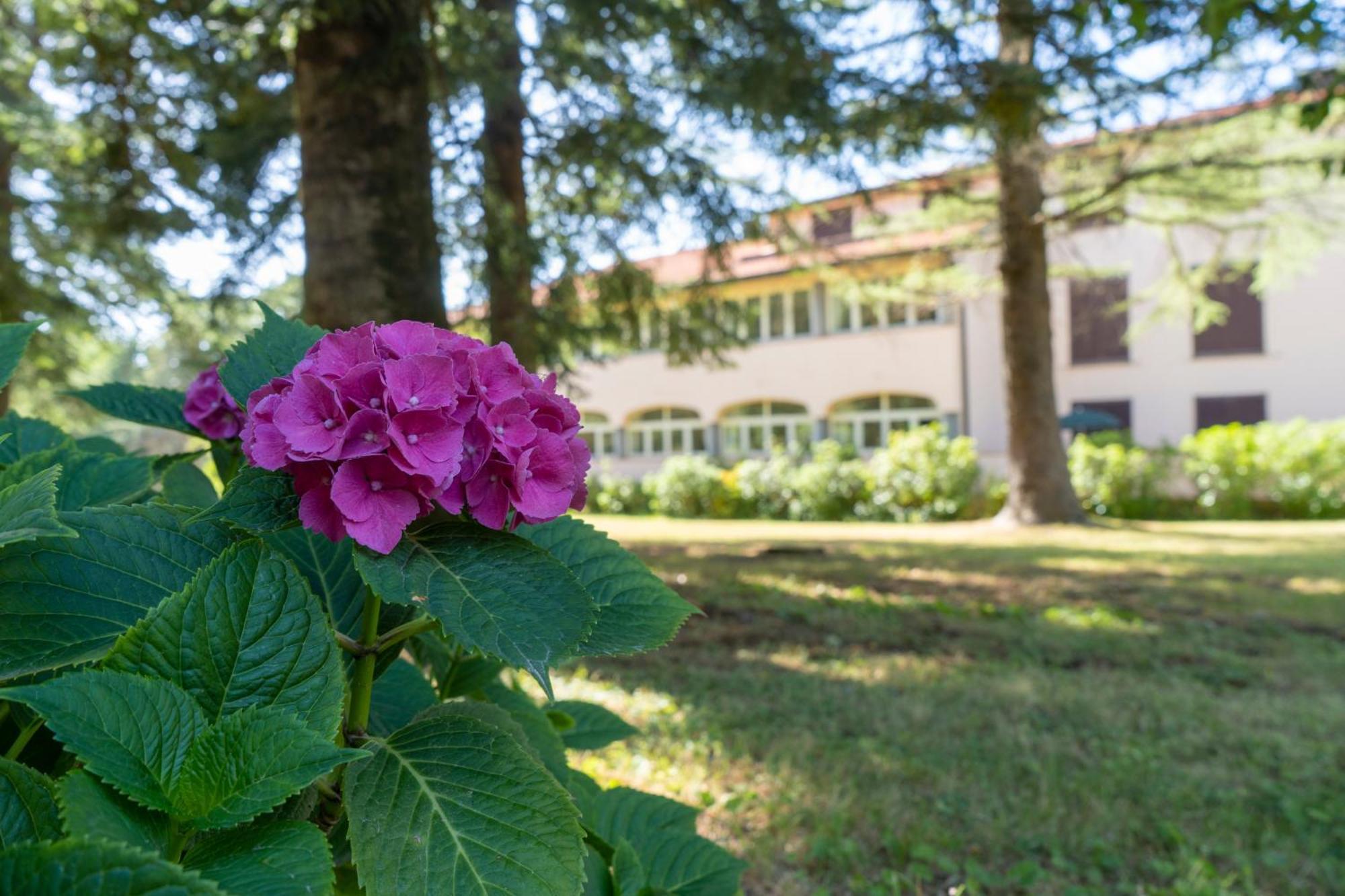 Toscana Wellness Resort Arcidosso Exterior photo
